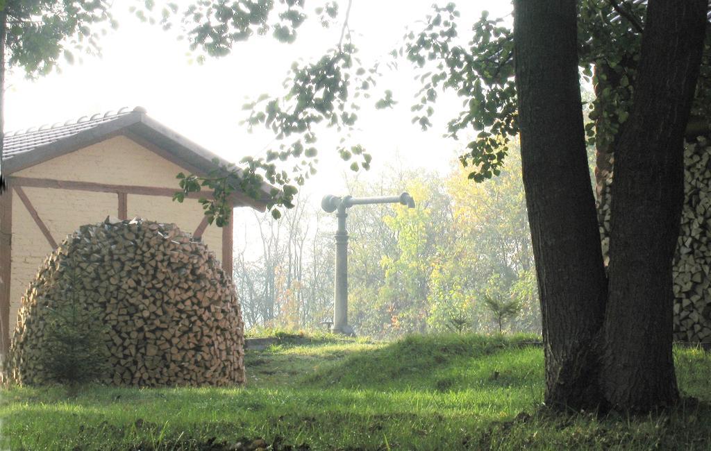 Apartamenty Carskie Białowieża Esterno foto